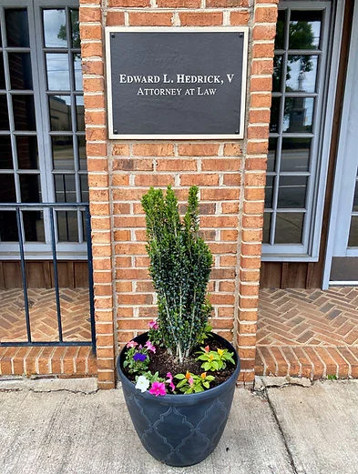 Plant infront of Law Office